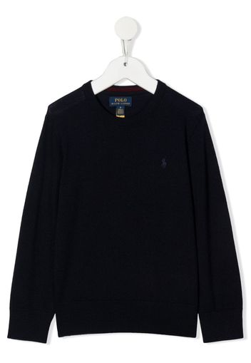 Ralph Lauren Kids Polo Pony fine-knit jumper - Blu