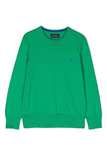 Ralph Lauren Kids logo-detail crew neck sweatshirt - Verde