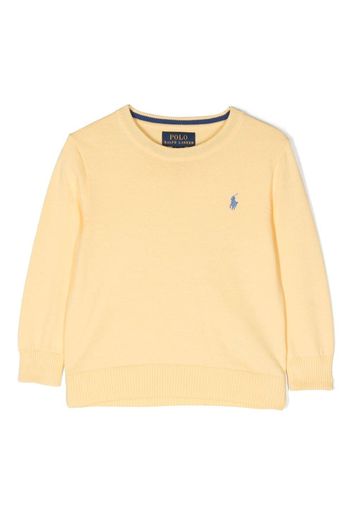 Ralph Lauren Kids Maglione con ricamo - Giallo