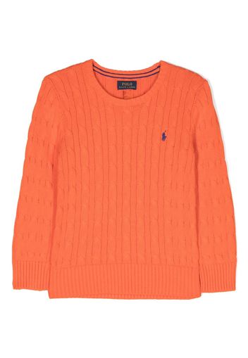 Ralph Lauren Kids Maglione con ricamo - Arancione