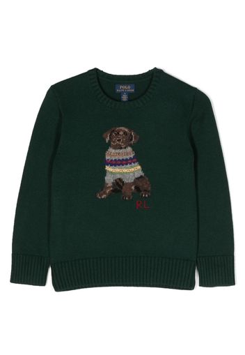 Ralph Lauren Kids intarsia-knit dog-pattern jumper - Verde