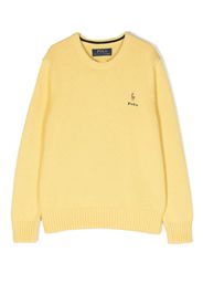 Ralph Lauren Kids Maglione con ricamo - Giallo