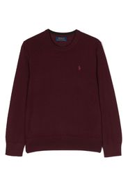 Ralph Lauren Kids Maglione con motivo Polo Pony - Rosso