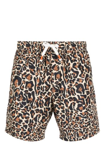 Reina Olga leopard-print swim shorts - Marrone