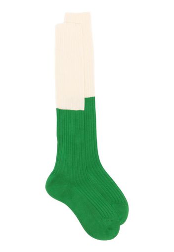 Sofie D'hoore two-tone ribbed socks - Verde