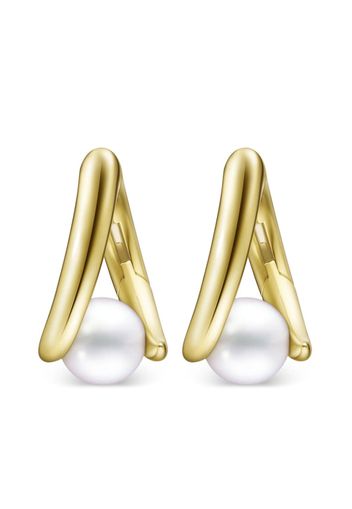 TASAKI 18kt yellow gold Collection Line Danger Fang pearl earrings - Oro