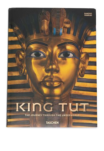 Libro King Tut