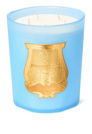 TRUDON Candela Versailles profumata (800g) - Blu