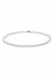 Yoko London 18kt yellow gold Classic 6mm Freshwater pearl necklace - Oro