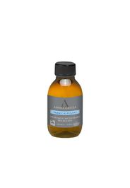 Ambra Grigia  Profumo Bucato Profumo Bucato (100.0 ml)