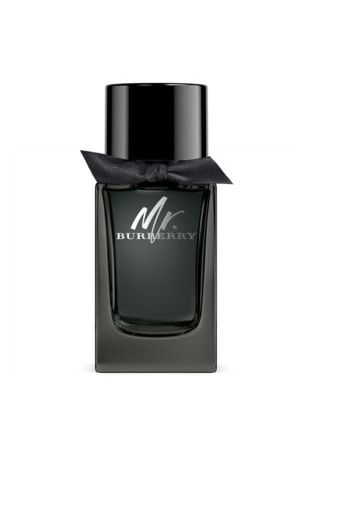 Burberry Mr. Burberry  (100.0 ml)