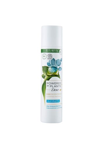 DEO SPRAY Deodorante freschezza : : Bellezza