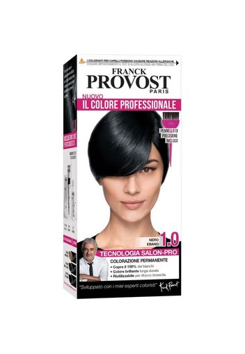 Frank Provost Colore Professionale, Pennello di Precisione Incluso, Castano