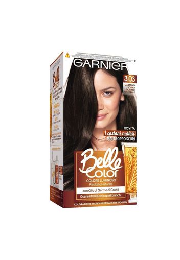 Garnier Tinte Capelli Colorazione Capelli (80.0 ml)