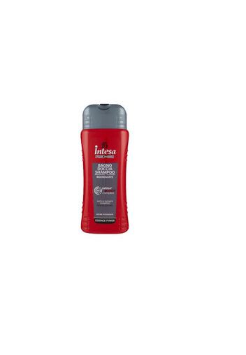 Intesa Deodoranti Bagno Schiuma (500.0 ml)