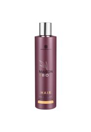 Maison Bio Shampoo Shampoo Capelli (1.0 pezzo)