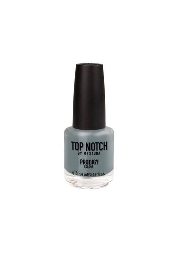 TOP NOTCH PRODIGY Nail Colour