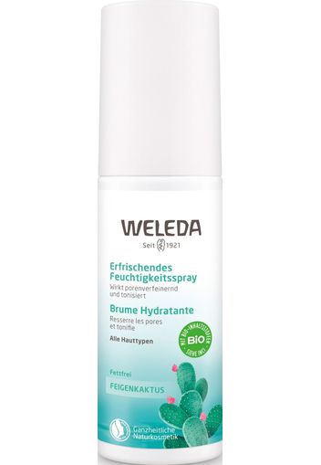 Weleda Idratazione Spray Viso (100.0 ml)