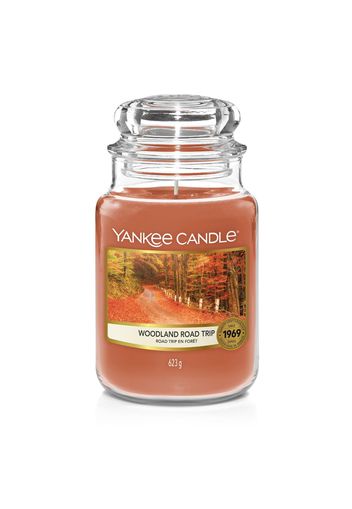 Yankee Candle candele profumate - Viridea