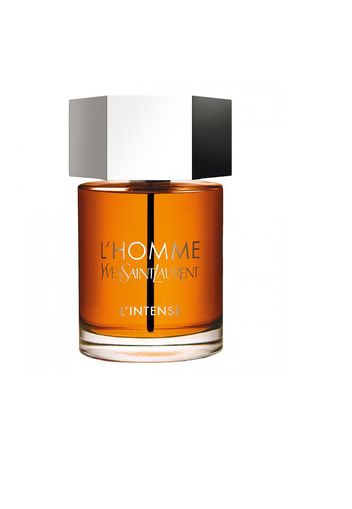 Yves Saint Laurent L'Homme Eau de Parfum (100.0 ml)