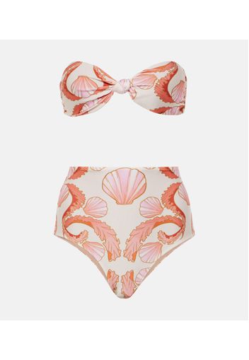 Bikini Seashell a vita alta