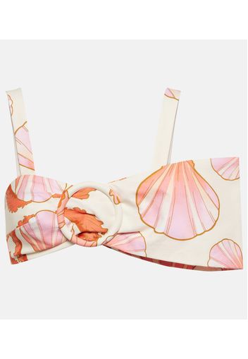 Top bikini Seashell