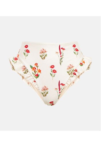 Slip bikini Jengibre Oasis con stampa