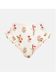 Slip bikini Jengibre Oasis con stampa