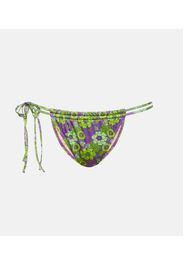 Slip bikini Seychelles con stampa