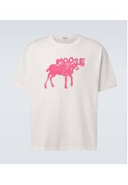 T-shirt in jersey di cotone con stampa