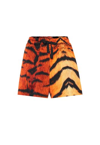 Shorts a stampa tigre