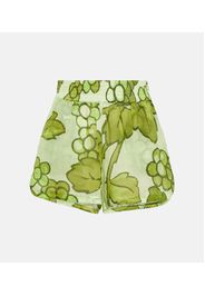 Shorts in ramia con stampa