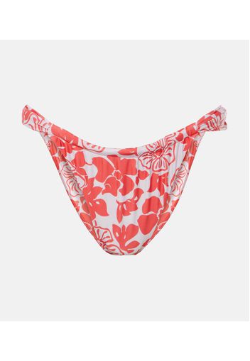 Slip bikini Andez con stampa floreale