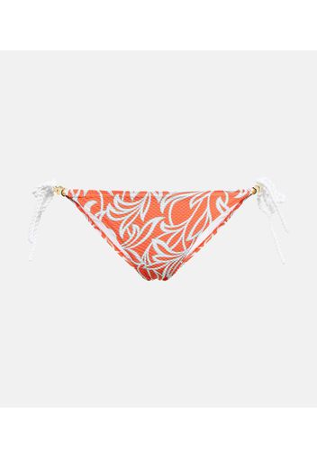 Slip bikini Coral Gardens