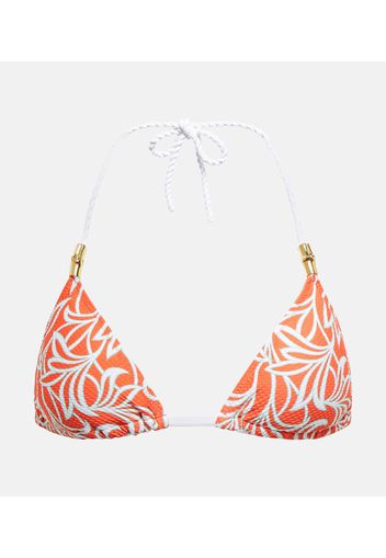 Top bikini Coral Gardens