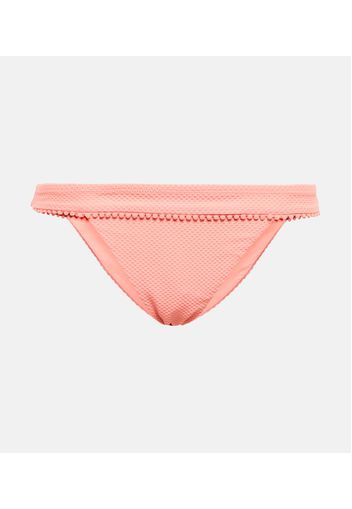 Slip bikini Rosa Polyantha