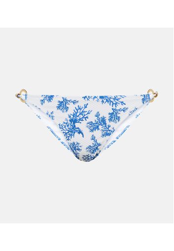 Slip bikini Little Dix Bay Ring