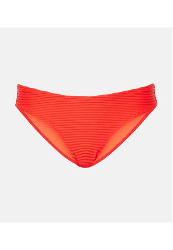 Slip bikini Vicenza