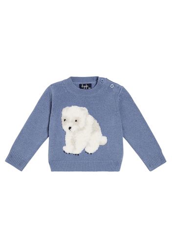 Baby - Pullover in lana vergine