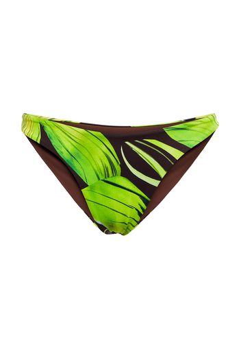 Slip bikini Scoop con stampa