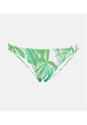 Slip bikini Martinique con stampa