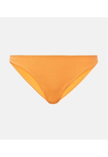 Slip bikini Ponza