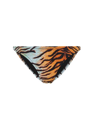 Slip bikini Selvaggia a stampa animalier