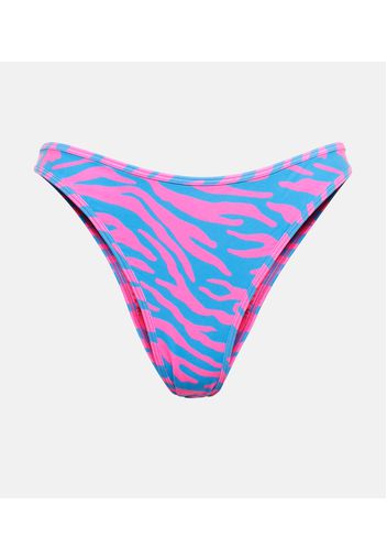 Slip bikini Coolio con stampa