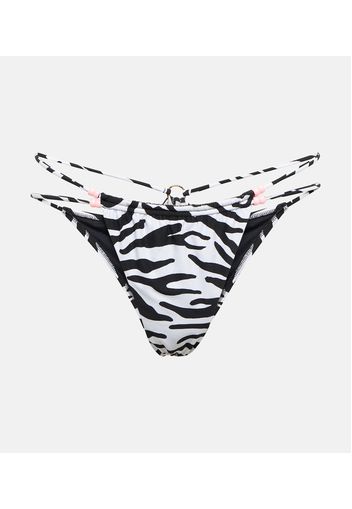 Slip bikini Theresa con stampa zebrata