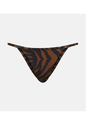 Slip bikini con stampa zebrata