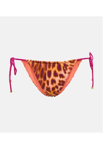 Slip bikini con stampa leopardata