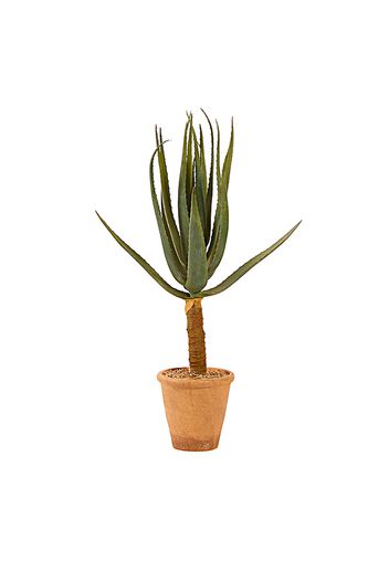 Aloe, pianta artificiale con vaso 96 cm