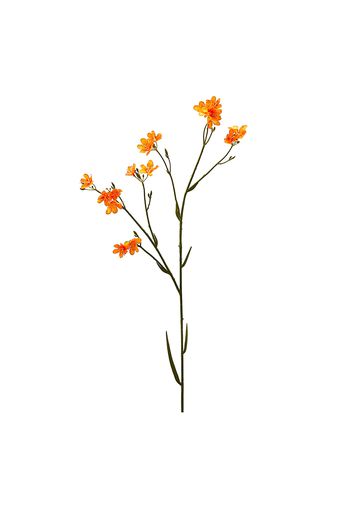 Belamcanda arancione, fiore artificiale 80 cm