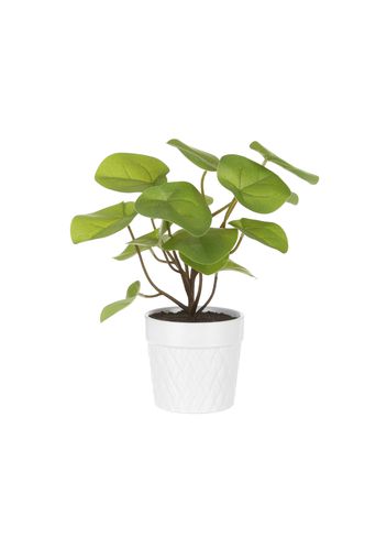 Pianta artificiale con vaso rattan 35 cm